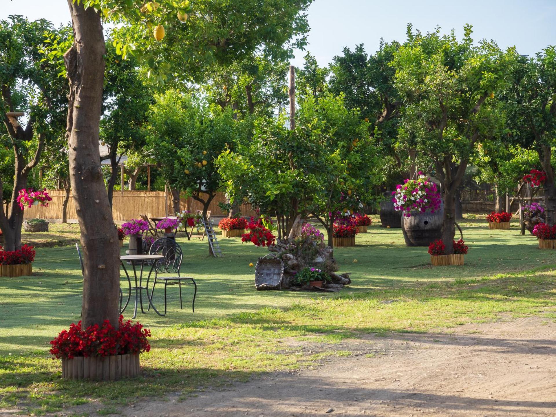 Giardino Di Nonno Lucio - Surrounded By Lemon Tree Villa Piano di Sorrento Bagian luar foto
