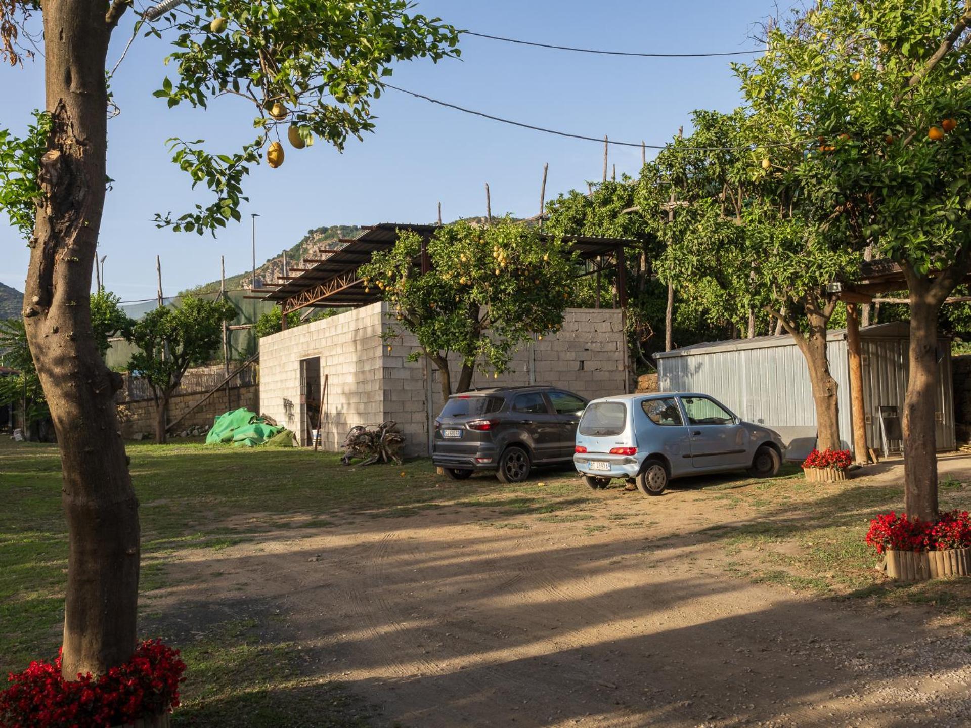 Giardino Di Nonno Lucio - Surrounded By Lemon Tree Villa Piano di Sorrento Bagian luar foto