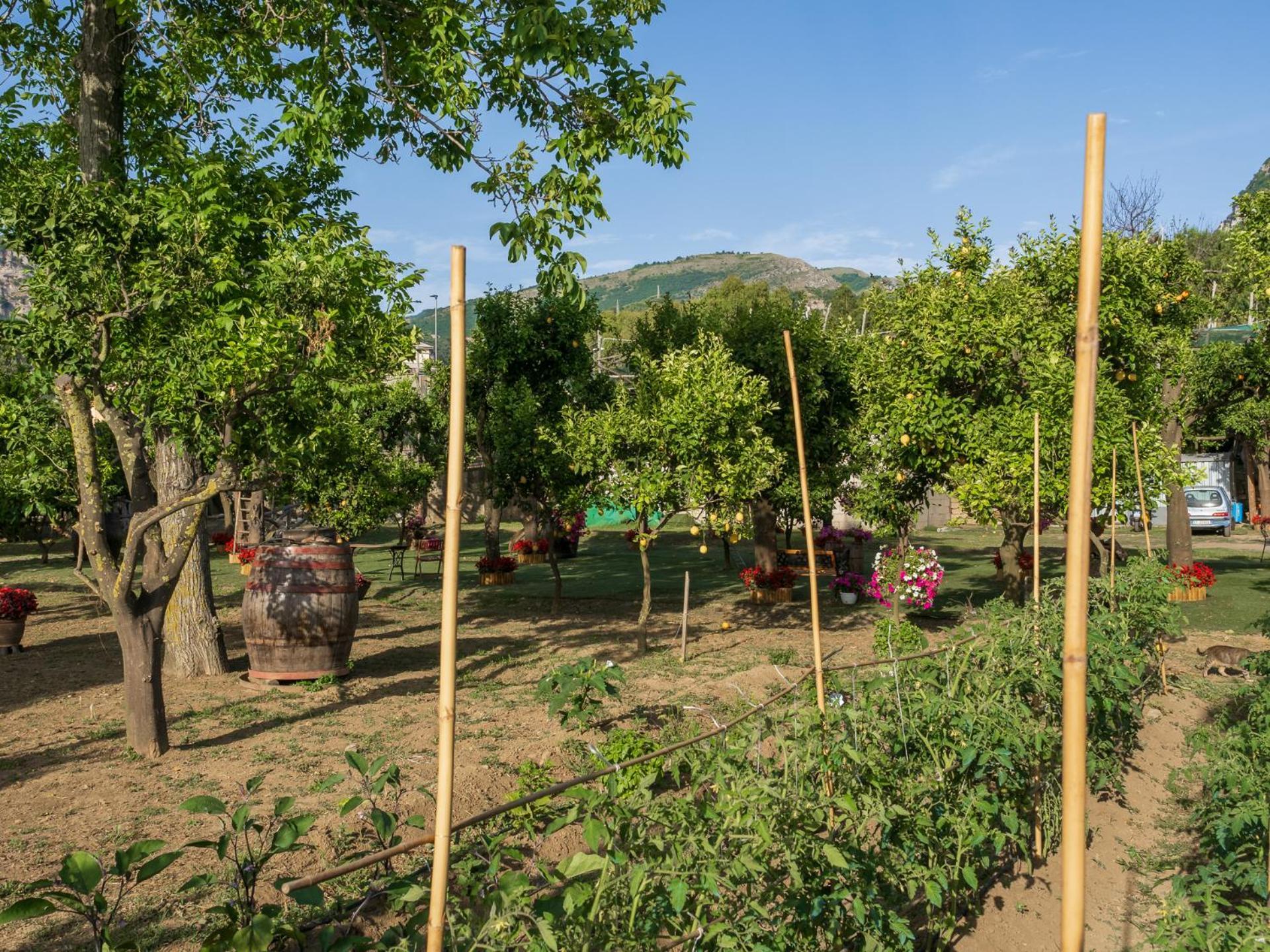 Giardino Di Nonno Lucio - Surrounded By Lemon Tree Villa Piano di Sorrento Bagian luar foto
