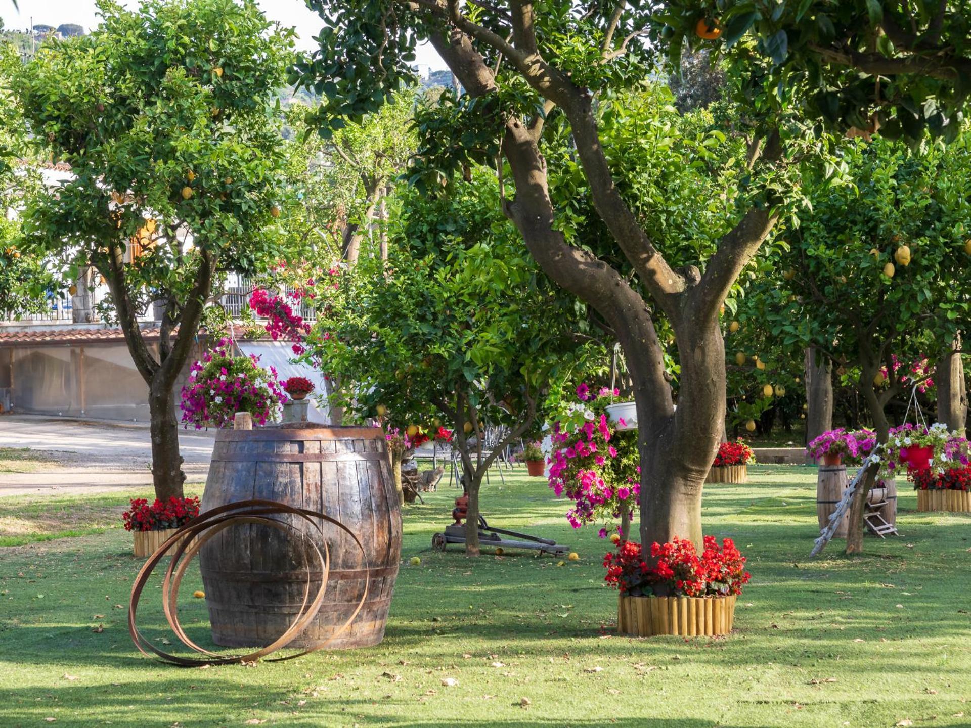 Giardino Di Nonno Lucio - Surrounded By Lemon Tree Villa Piano di Sorrento Bagian luar foto