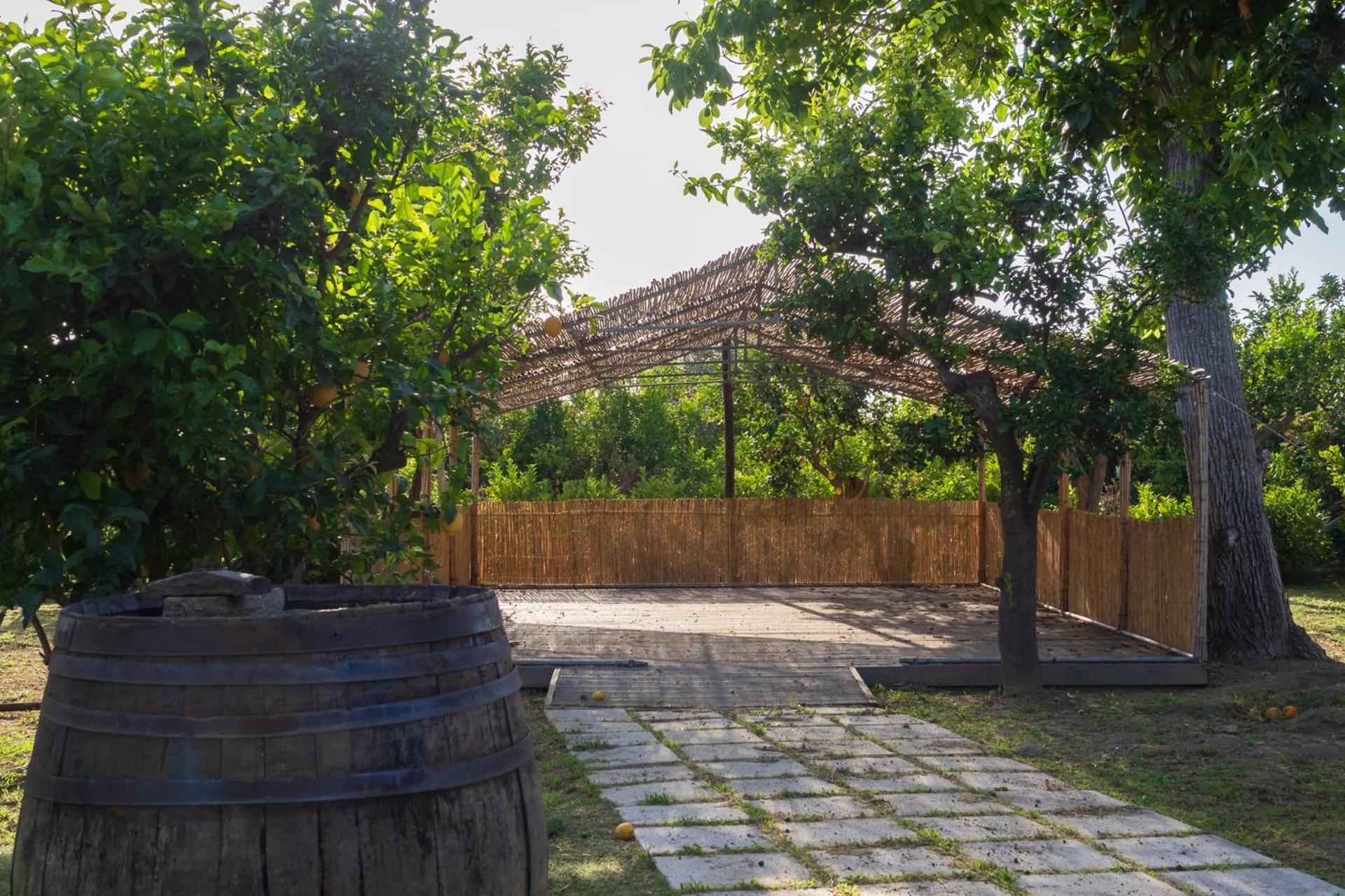 Giardino Di Nonno Lucio - Surrounded By Lemon Tree Villa Piano di Sorrento Bagian luar foto